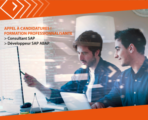 Nous sommes à la recherche de véritables passionnés d'informatique dans le but d'intégrer une formation totalement financée de 10 mois pour devenir Consultant SAP ou Développeur SAP ABAP